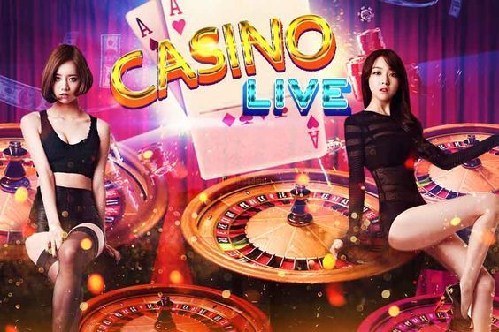 Tiger Club Casino Live Betting